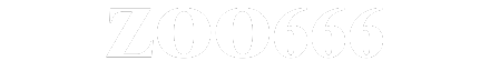 zoo666win.com